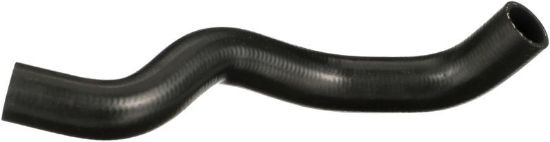 Radiator Hose -