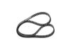 Timing Belt -