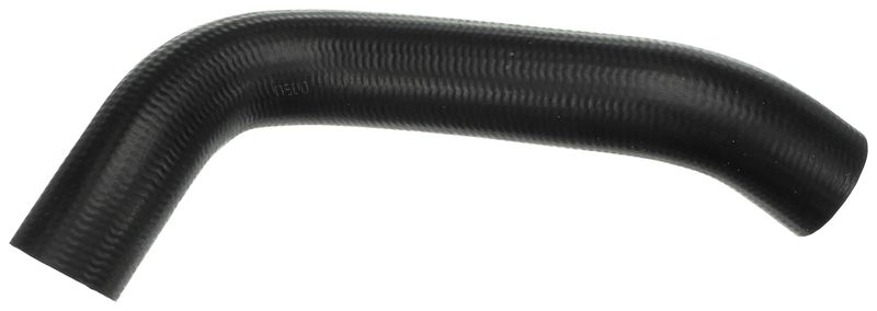 Radiator Hose -