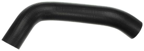 Radiator Hose -