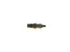 Nozzle and Holder Assembly 068 130 201 E VW
