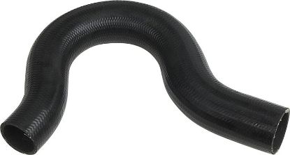 Radiator Hose -