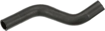 Radiator Hose -