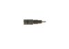 Nozzle and Holder Assembly -