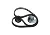 Timing Belt Kit C-MAX II, MONDEO IV 2.0 TDCi
