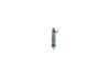 Nozzle and Holder Assembly -