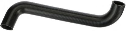Radiator Hose -