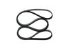 V-Ribbed Belt -