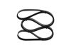 V-Ribbed Belt -