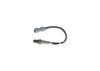 Oxygen Sensor -