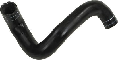 Radiator Hose -
