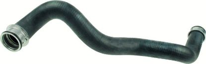 Radiator Hose -