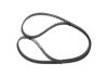 Timing Belt -