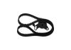 Timing Belt Kit -