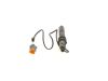 Nozzle and Holder Assembly -