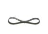 V-Ribbed Belt -