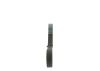 V-Ribbed Belt -