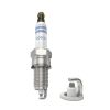 Spark Plug -