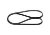 V-Ribbed Belt -
