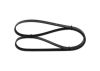 V-Ribbed Belt -