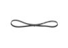 V-Ribbed Belt -