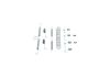 Accessory Kit, brake shoes -