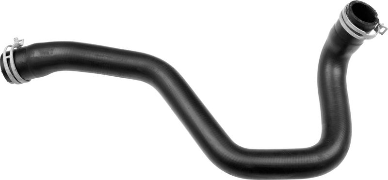 Radiator Hose -