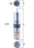 Fuel Filter BMW - 13 32 8 514 121