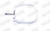 Mount, exhaust system -