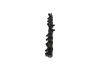 Distributor Pipe, fuel -