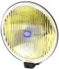 Spotlight -