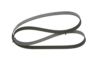 V-Ribbed Belt -