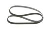 V-Ribbed Belt -