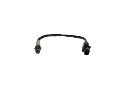 Oxygen Sensor -