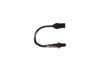 Oxygen Sensor -