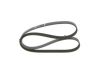 V-Ribbed Belt -