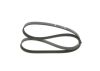 V-Ribbed Belt -