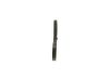V-Ribbed Belt -