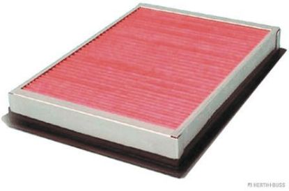 Air Filter X-TRAIL (T31)