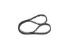 Timing Belt -