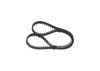 Timing Belt -