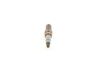 Spark Plug -