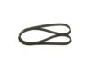 V-Ribbed Belt -