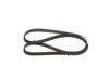 V-Ribbed Belt -