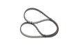 Timing Belt -