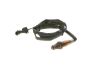 Oxygen Sensor -