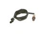 Oxygen Sensor -
