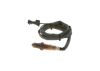 Oxygen Sensor -