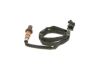 Oxygen Sensor -