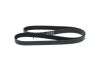 V-Ribbed Belt -